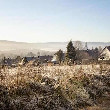 Ferienwohnung Bergäcker Neualbenreuth Exterior foto